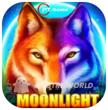 PTGAME40